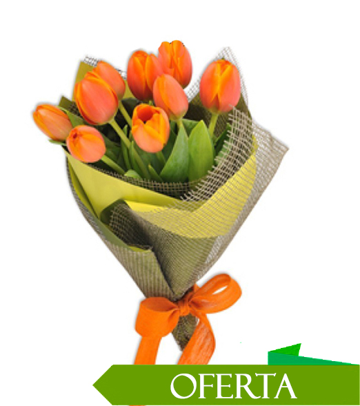 Ramo de 10 Tulipanes